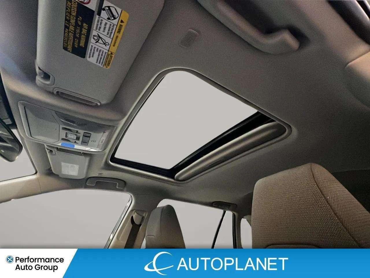 2024 Toyota RAV4 XLE AWD, Heated Seats, Sunroof, NEW BRAKES & TIRES Photo