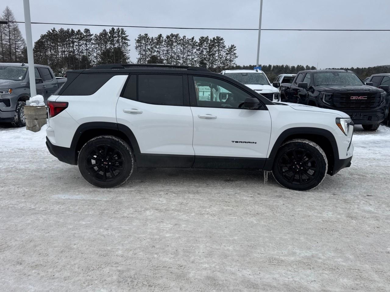 2026 GMC Terrain AWD Elevation Photo3