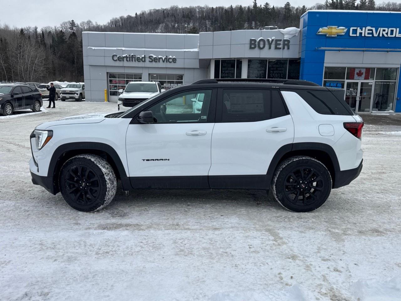 2026 GMC Terrain AWD Elevation Photo