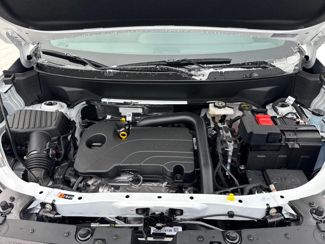 2026 GMC Terrain AWD Elevation Photo