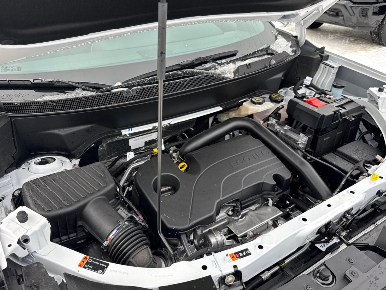 2026 GMC Terrain AWD Elevation Photo