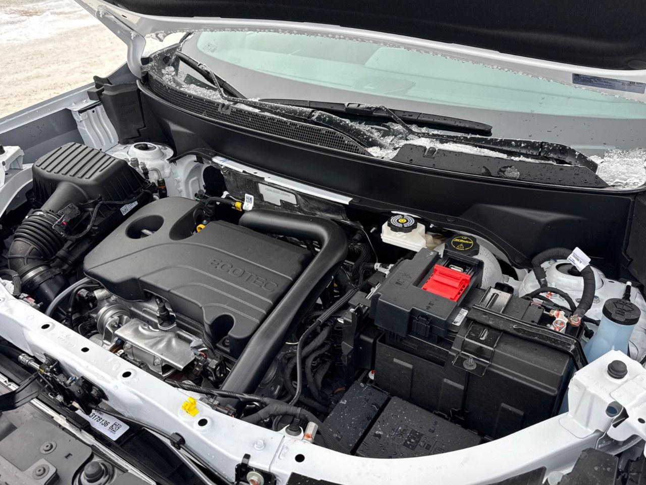 2026 GMC Terrain AWD Elevation Photo