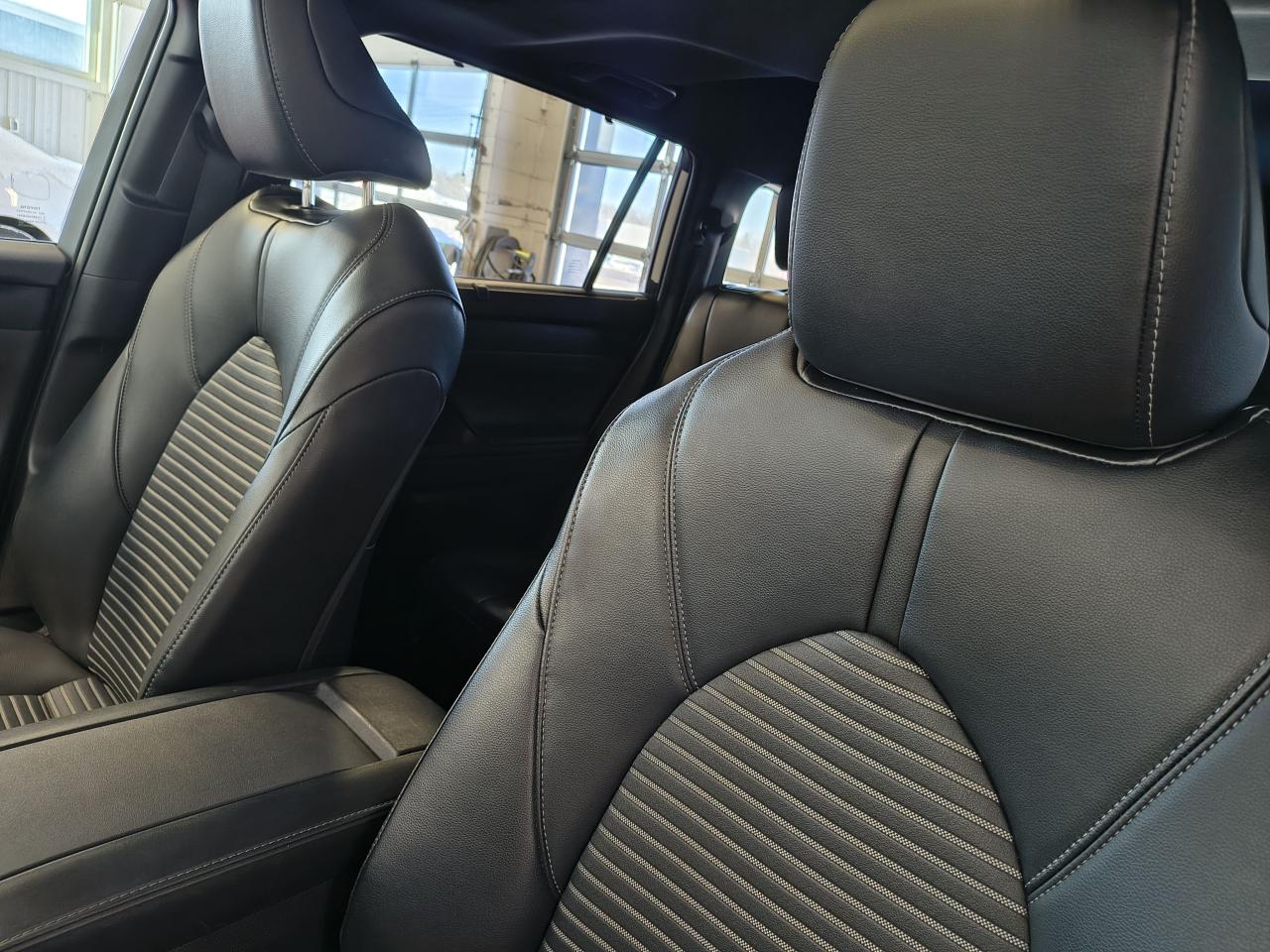 2023 Toyota Highlander XSE Photo