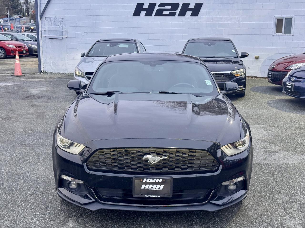 2017 Ford Mustang FINANCING AVAILABLE Photo2