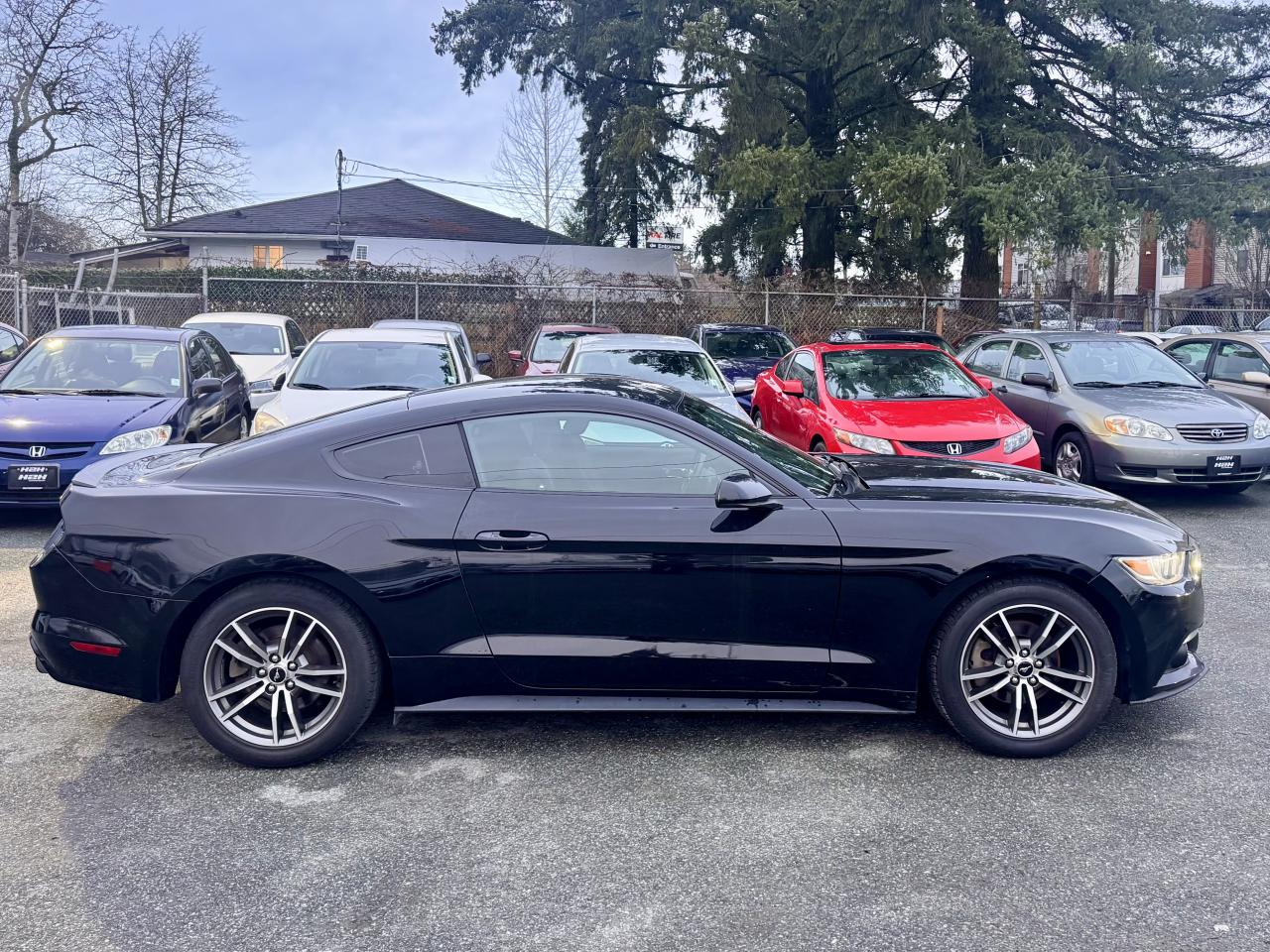 2017 Ford Mustang FINANCING AVAILABLE Photo4