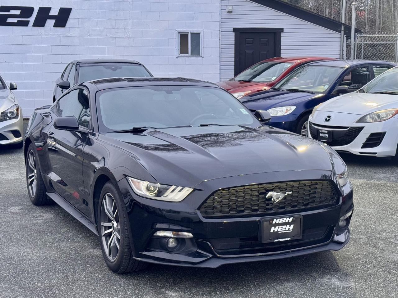 2017 Ford Mustang FINANCING AVAILABLE Photo3