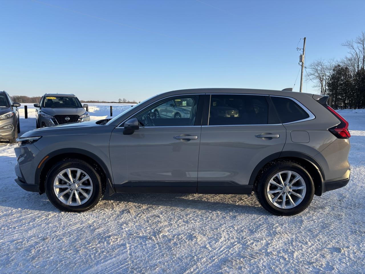 2023 Honda CR-V EX-L *NO ACCIDENTS*6.79% TD FINANCING* Photo