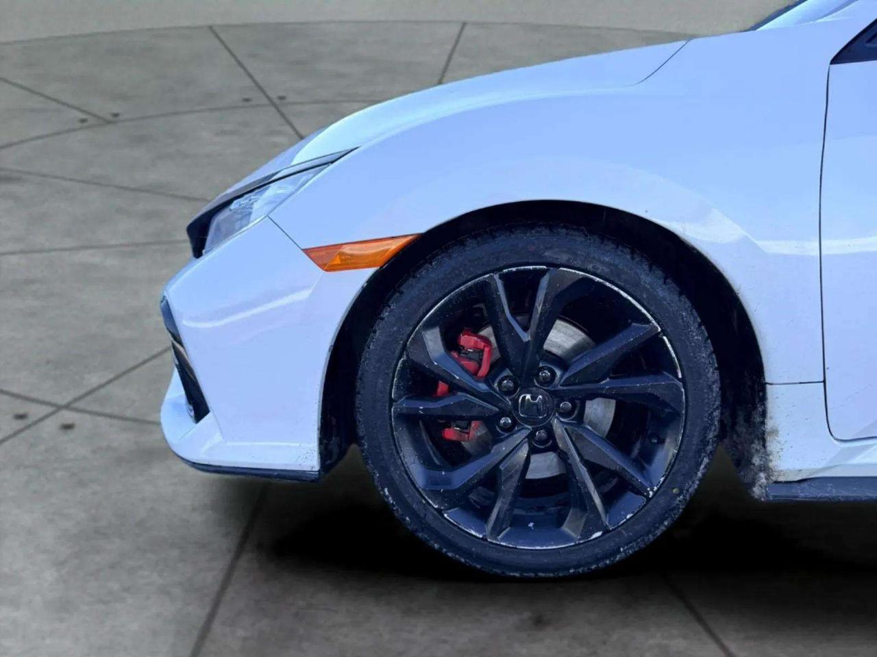 2019 Honda Civic Manual Photo