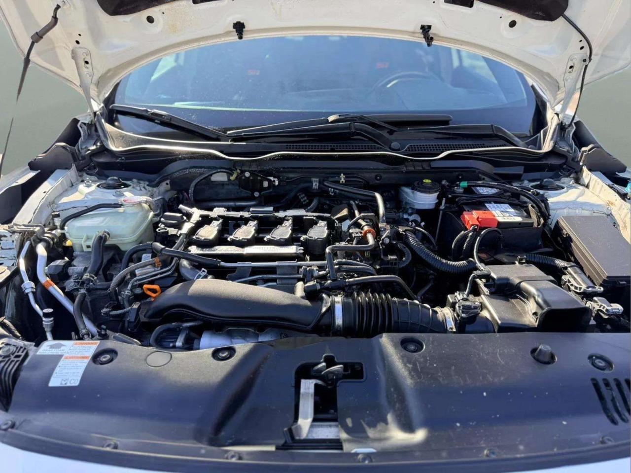 2019 Honda Civic Manual Photo