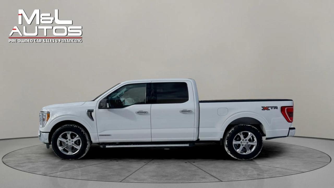 2021 Ford F-150 XLT Photo