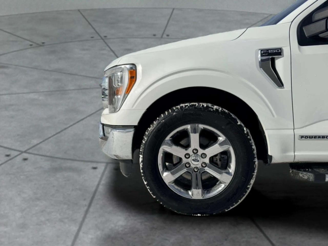 2021 Ford F-150 XLT Photo
