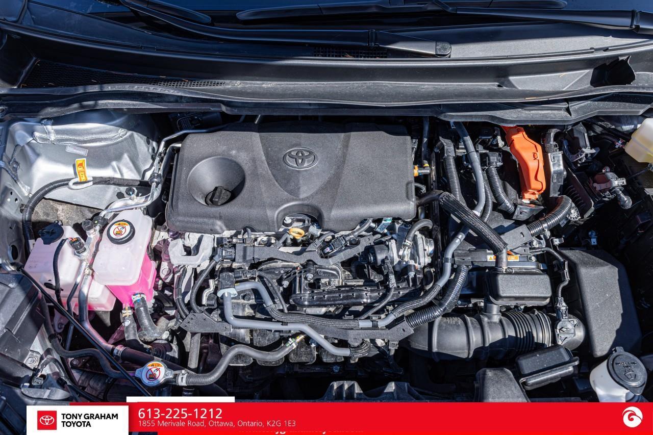 2025 Toyota Sienna XSE 7-Passenger Photo