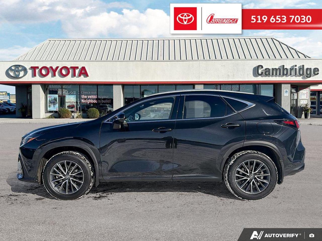 2025 Lexus NX 350h  Photo2