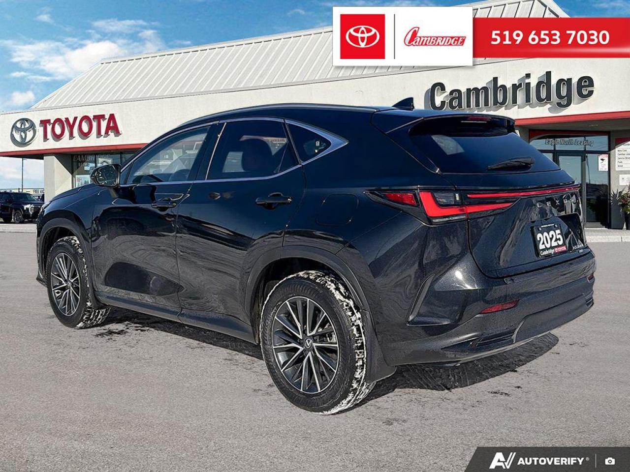 2025 Lexus NX 350h  Photo