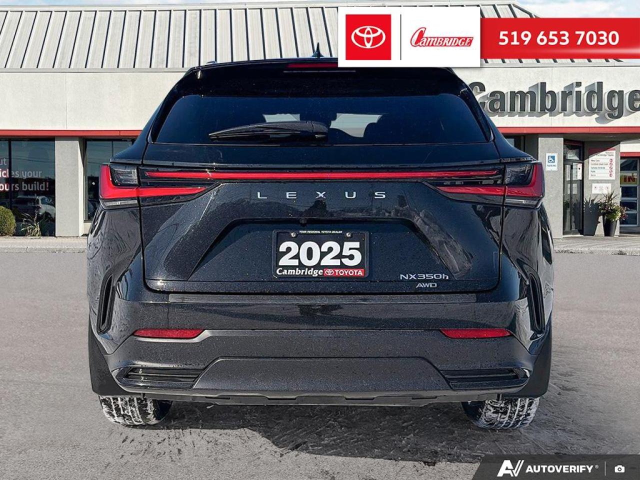 2025 Lexus NX 350h  Photo