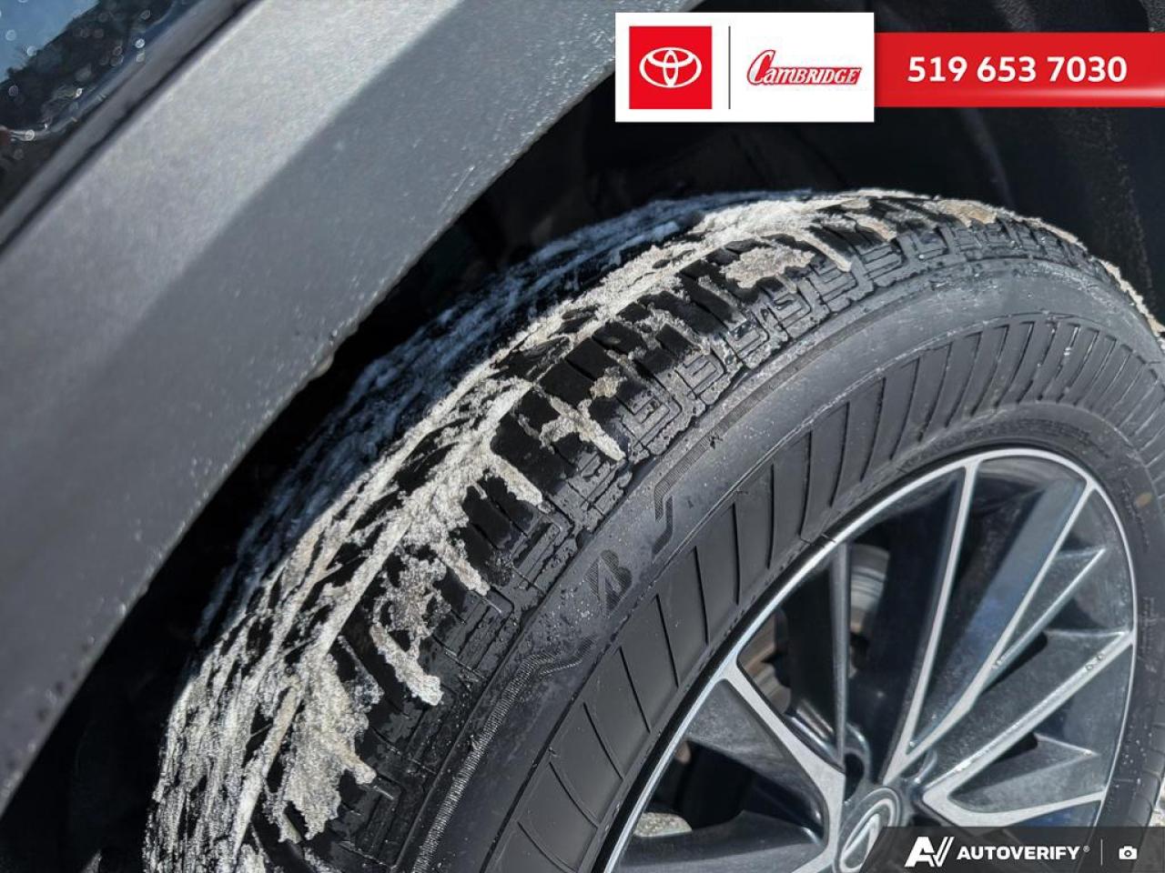 2025 Lexus NX 350h  Photo