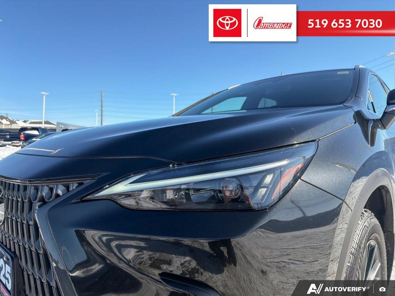 2025 Lexus NX 350h  Photo