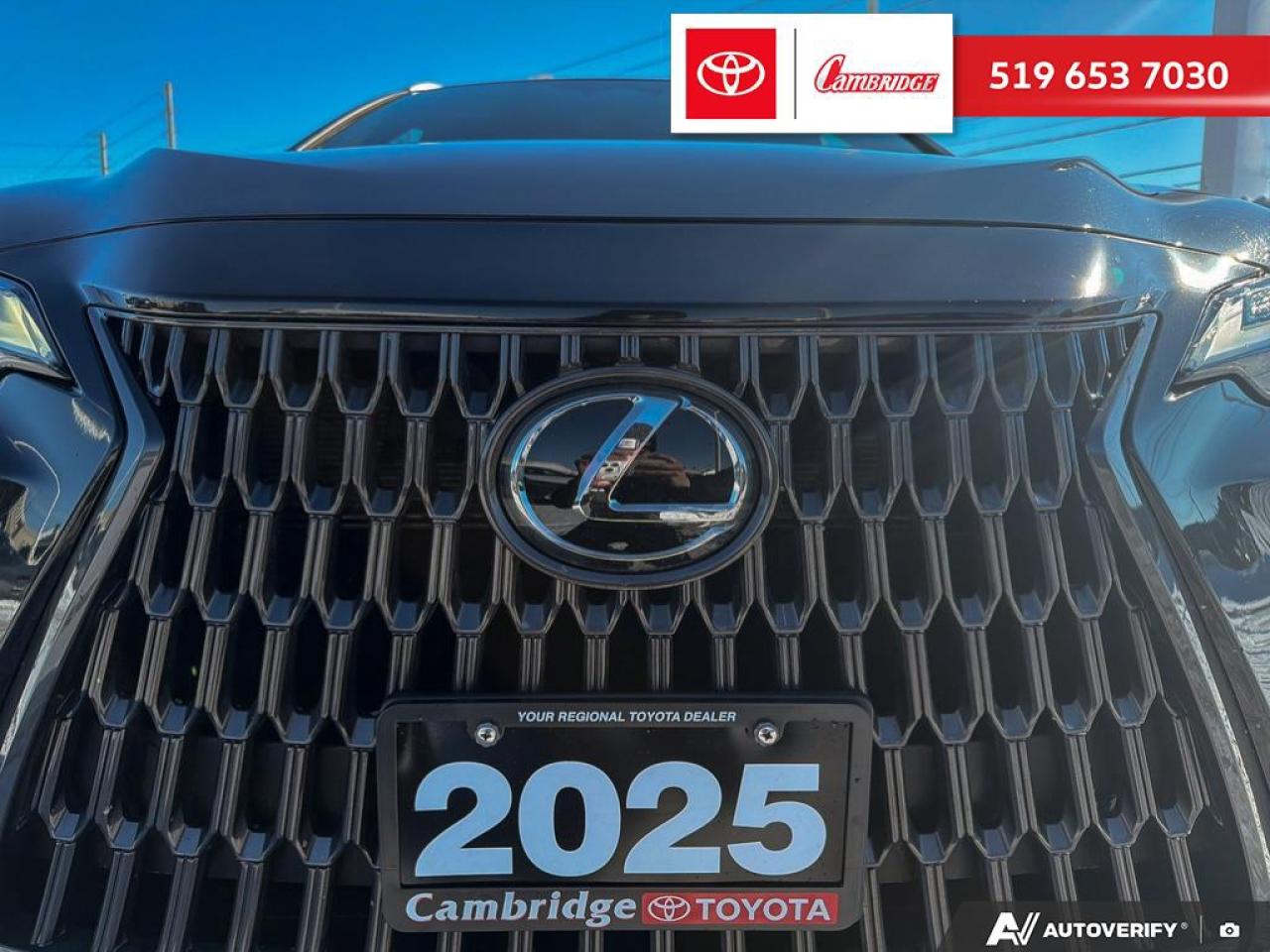 2025 Lexus NX 350h  Photo