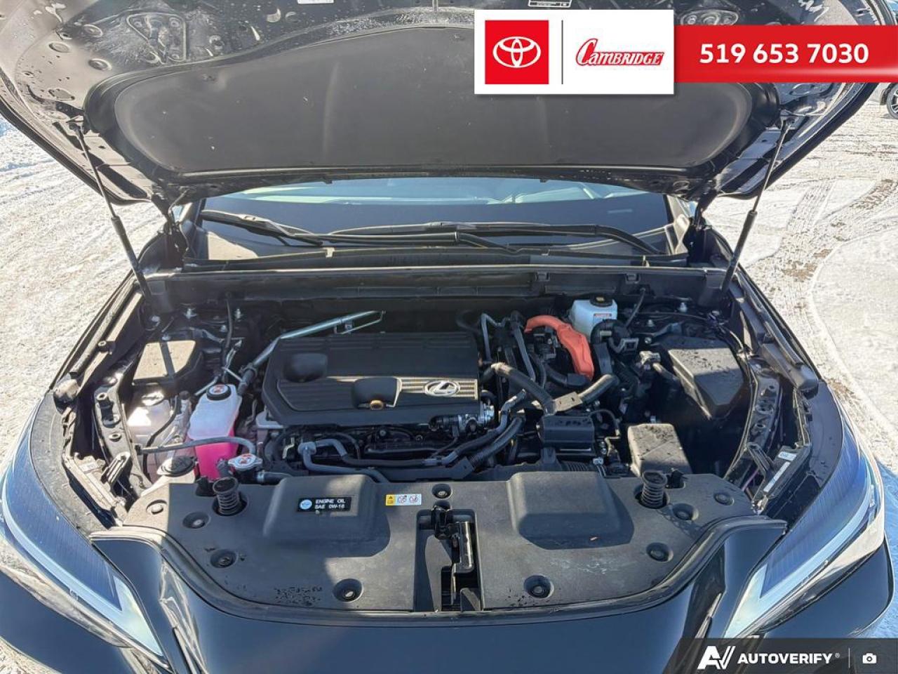 2025 Lexus NX 350h  Photo