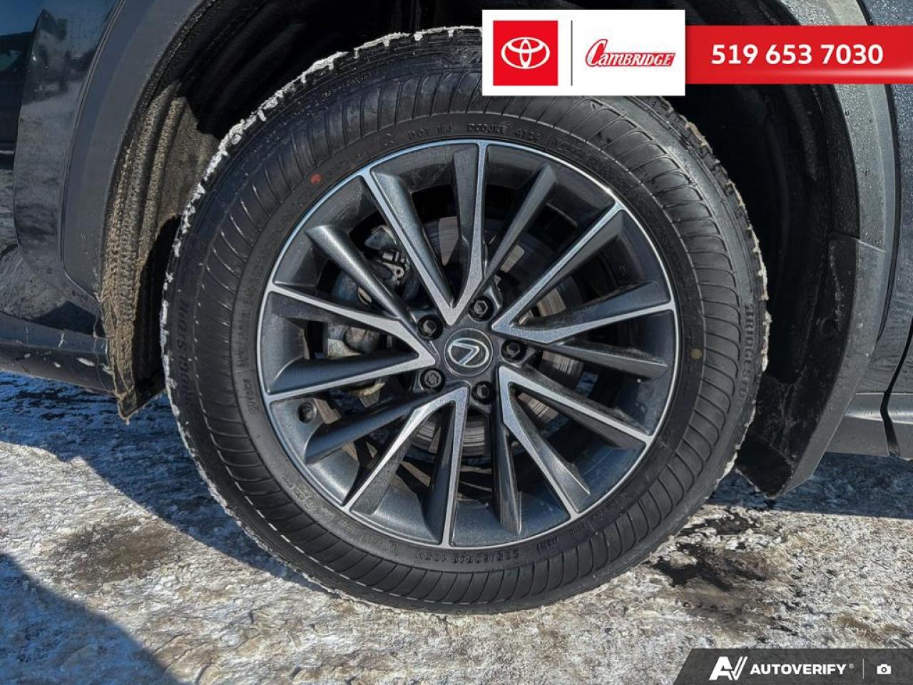 2025 Lexus NX 350h  Photo