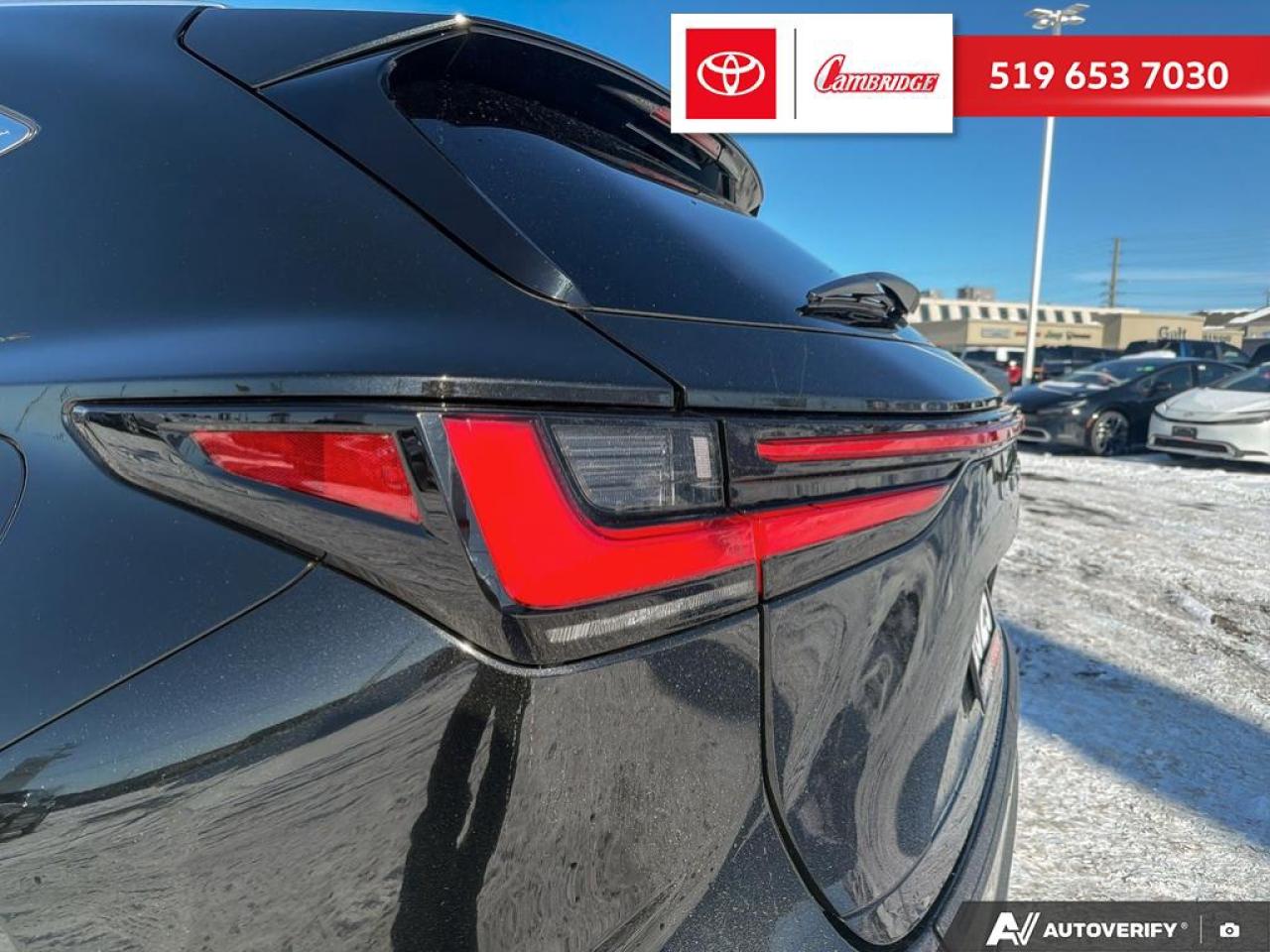 2025 Lexus NX 350h  Photo