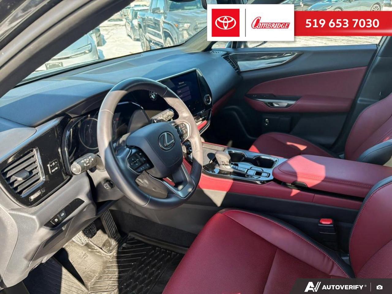 2025 Lexus NX 350h  Photo