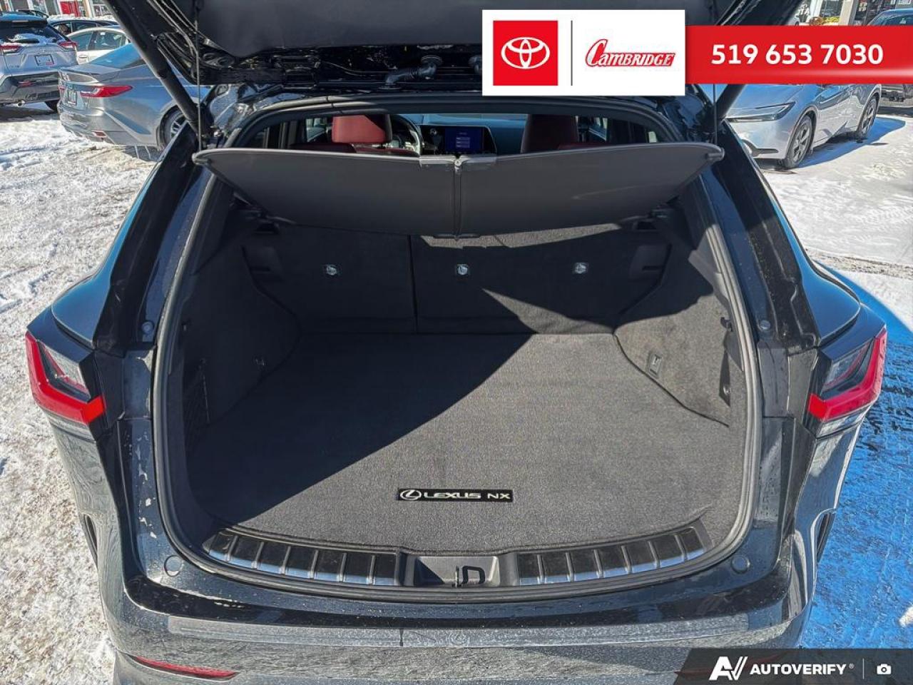 2025 Lexus NX 350h  Photo