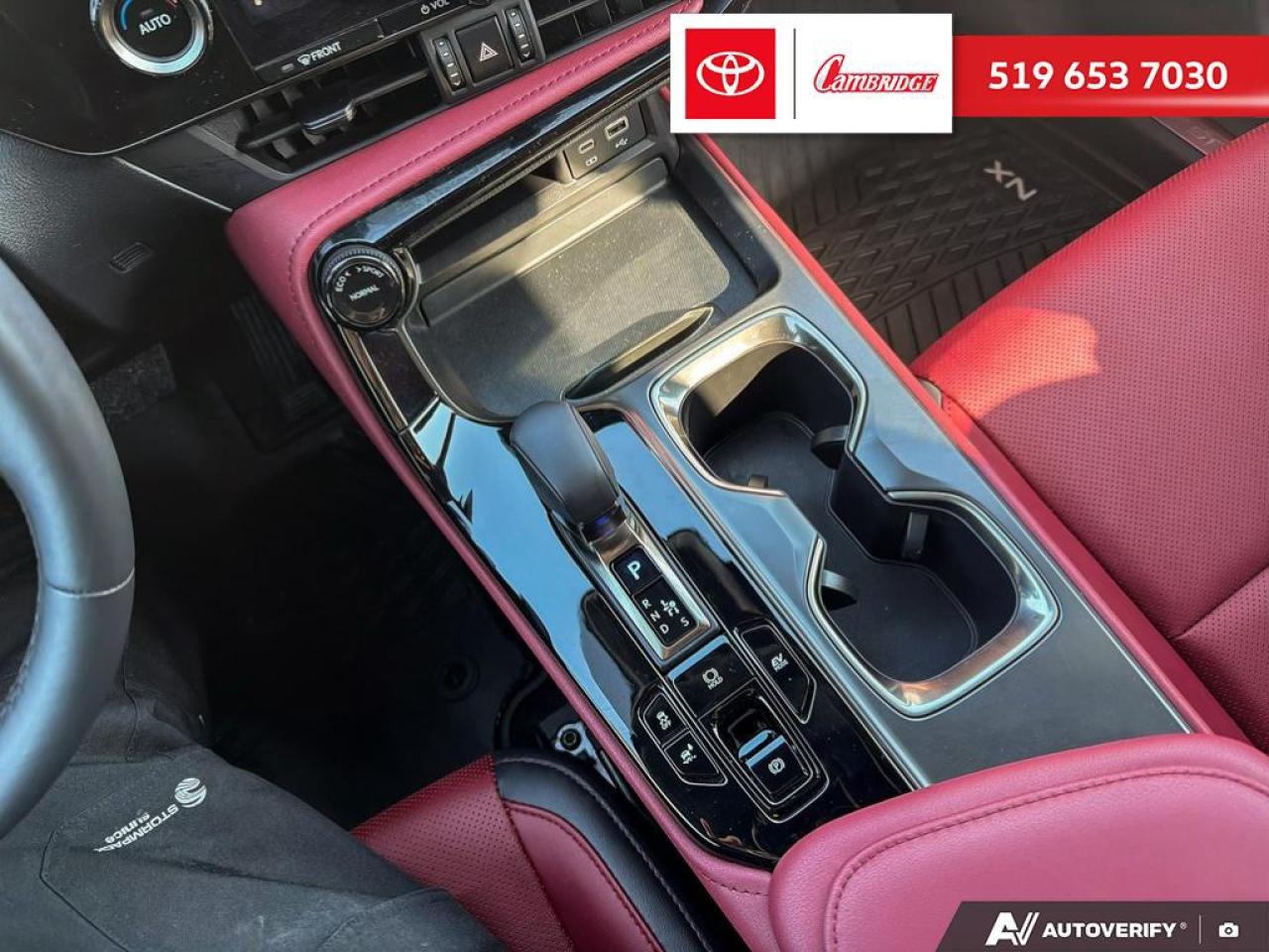 2025 Lexus NX 350h  Photo