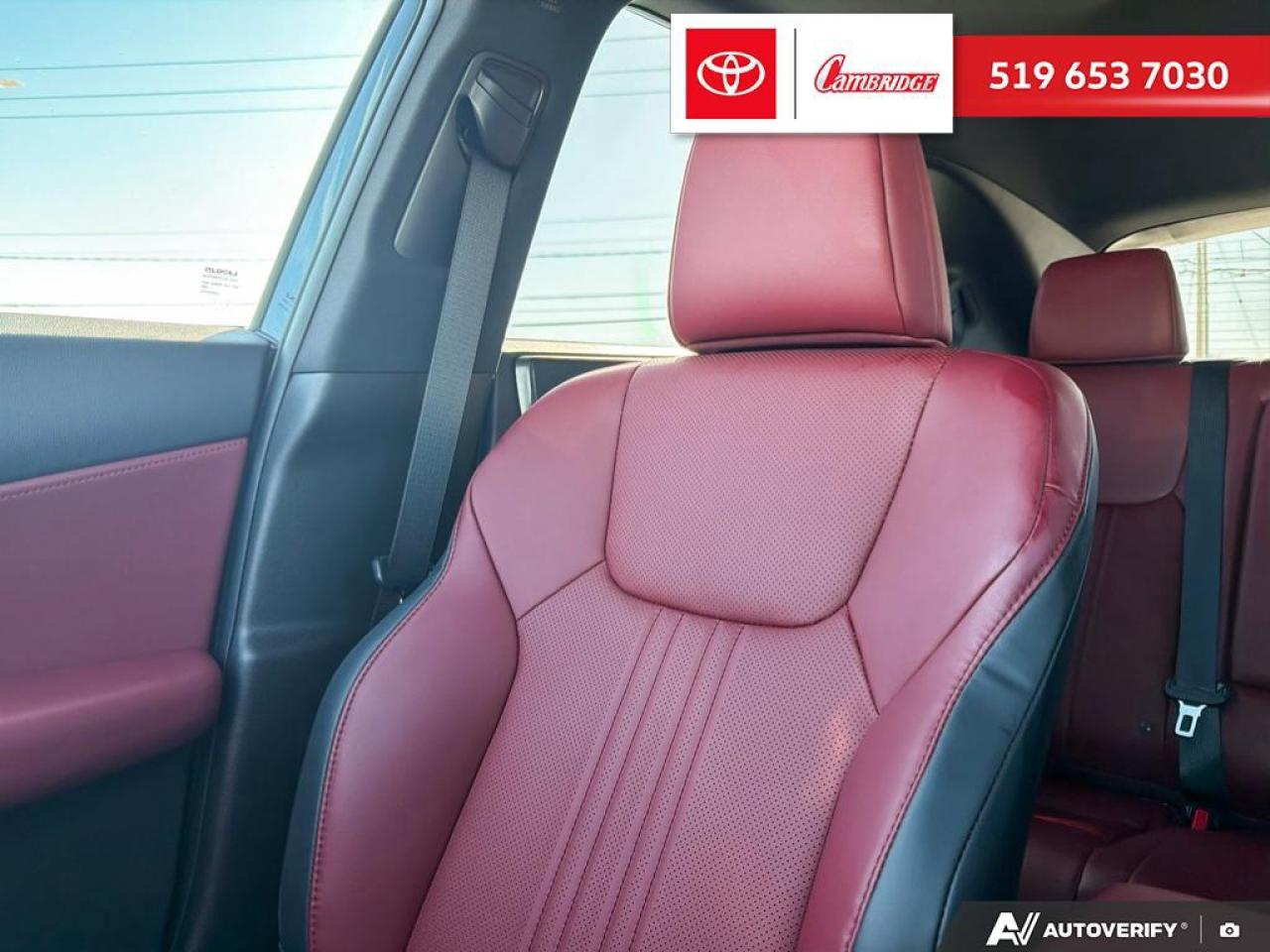 2025 Lexus NX 350h  Photo