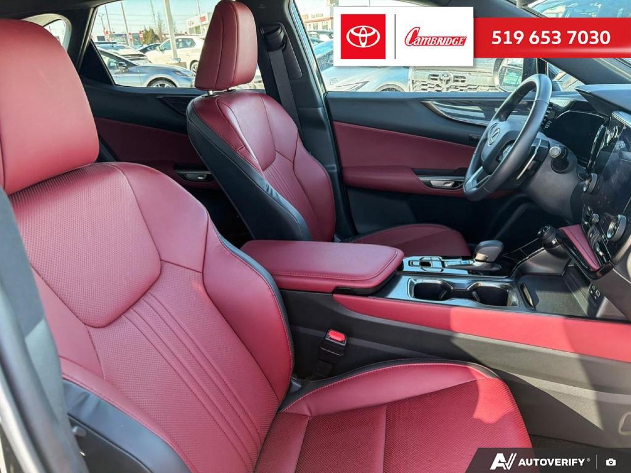 2025 Lexus NX 350h  Photo