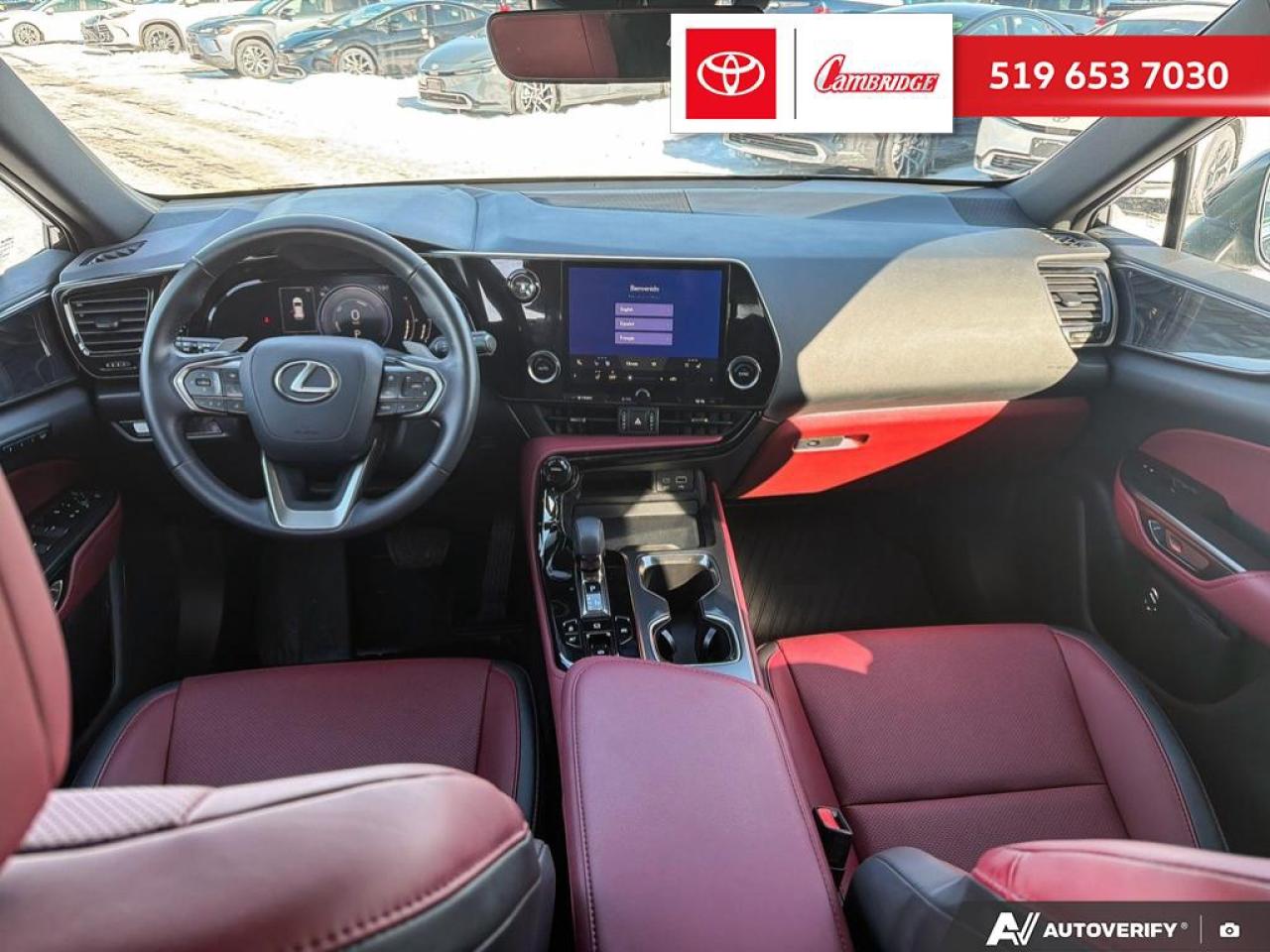 2025 Lexus NX 350h  Photo