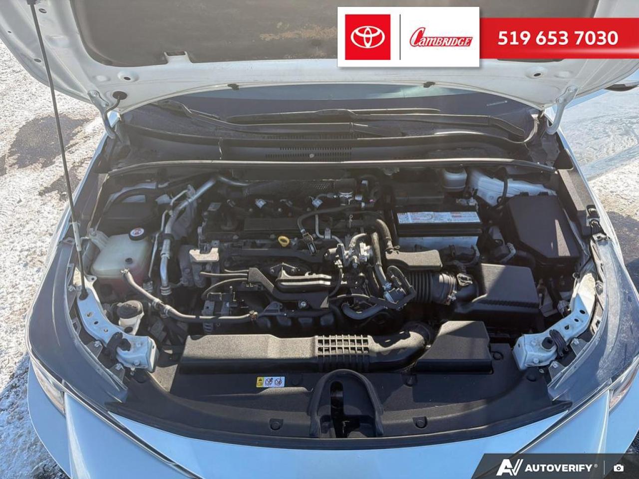 2019 Toyota Corolla Hatchback XSE Photo