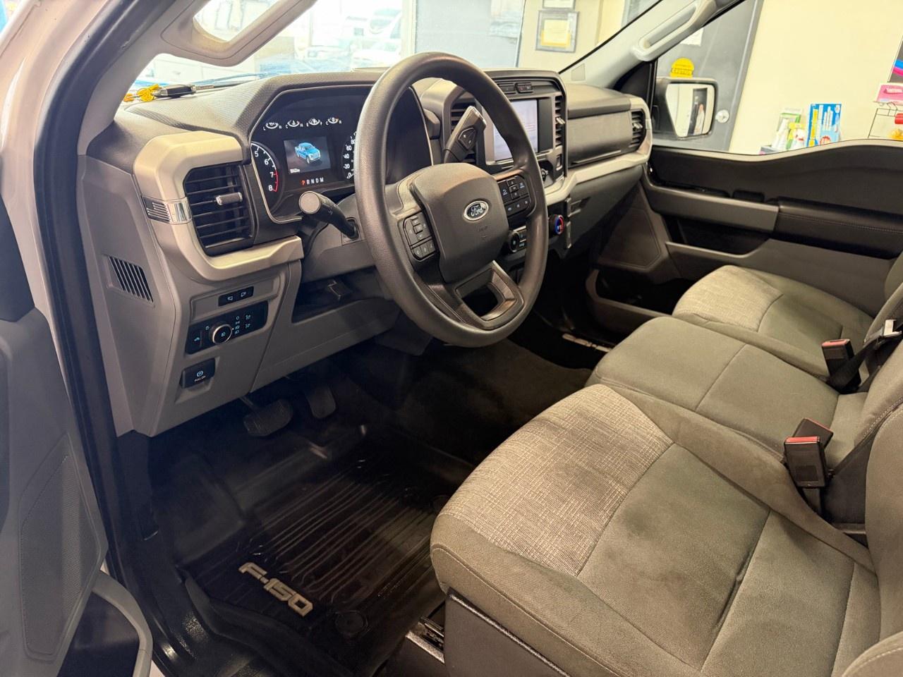 2023 Ford F-150 XLT Photo