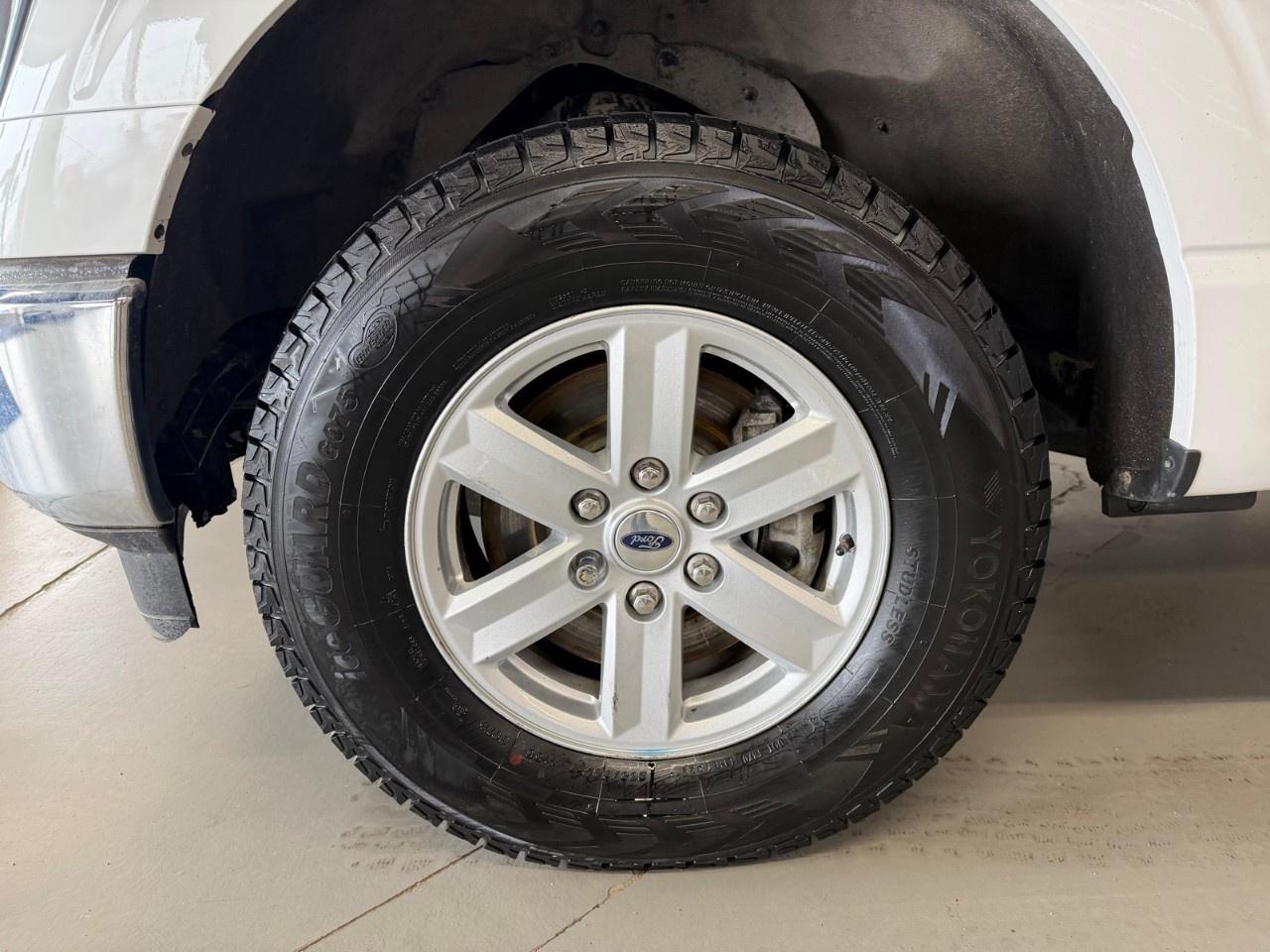 2023 Ford F-150 XLT Photo