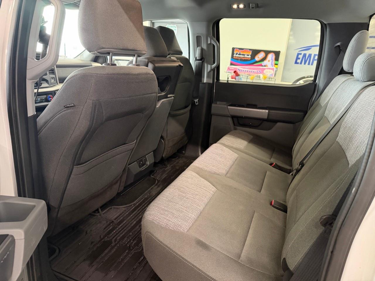 2023 Ford F-150 XLT Photo