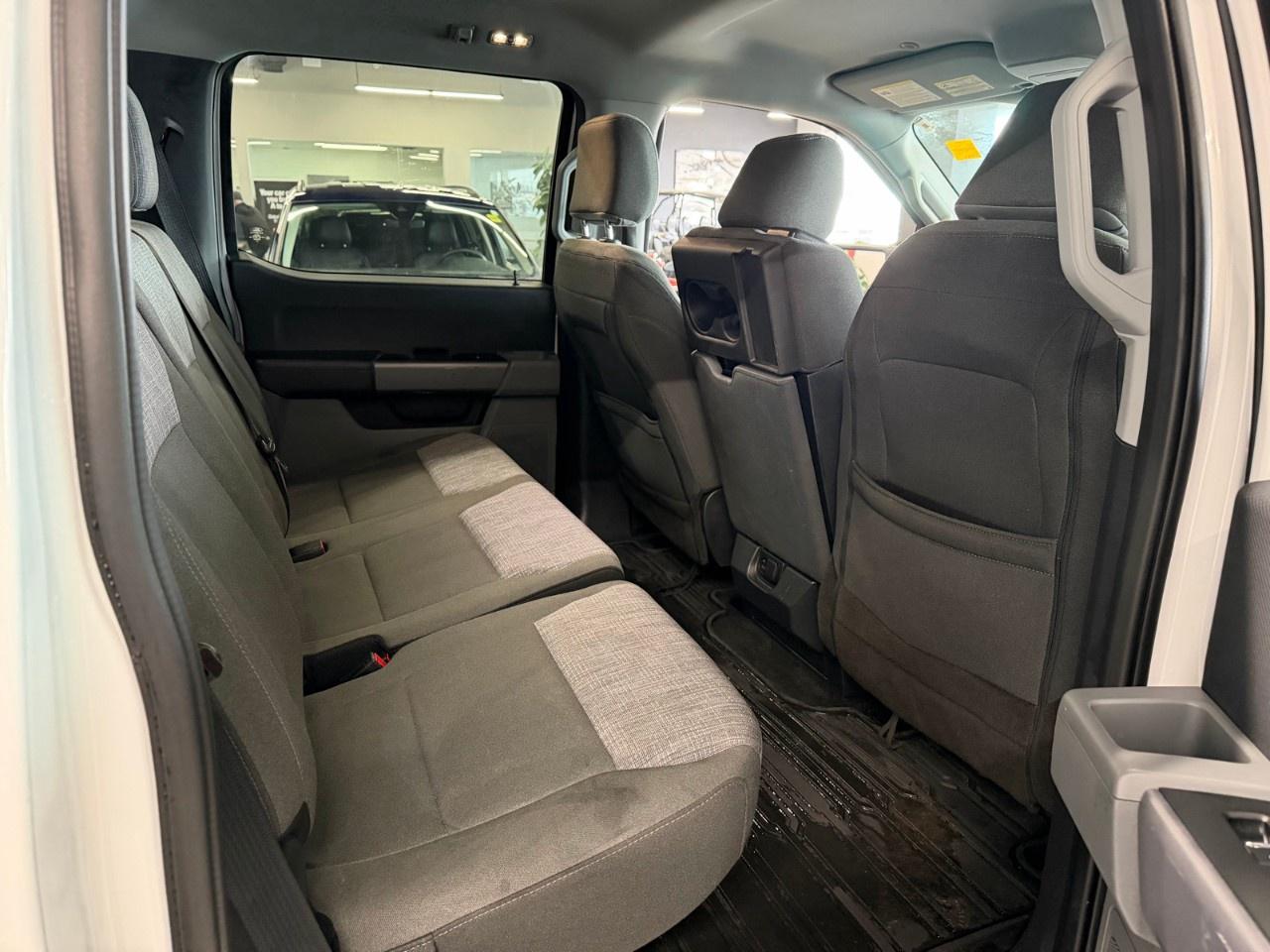 2023 Ford F-150 XLT Photo