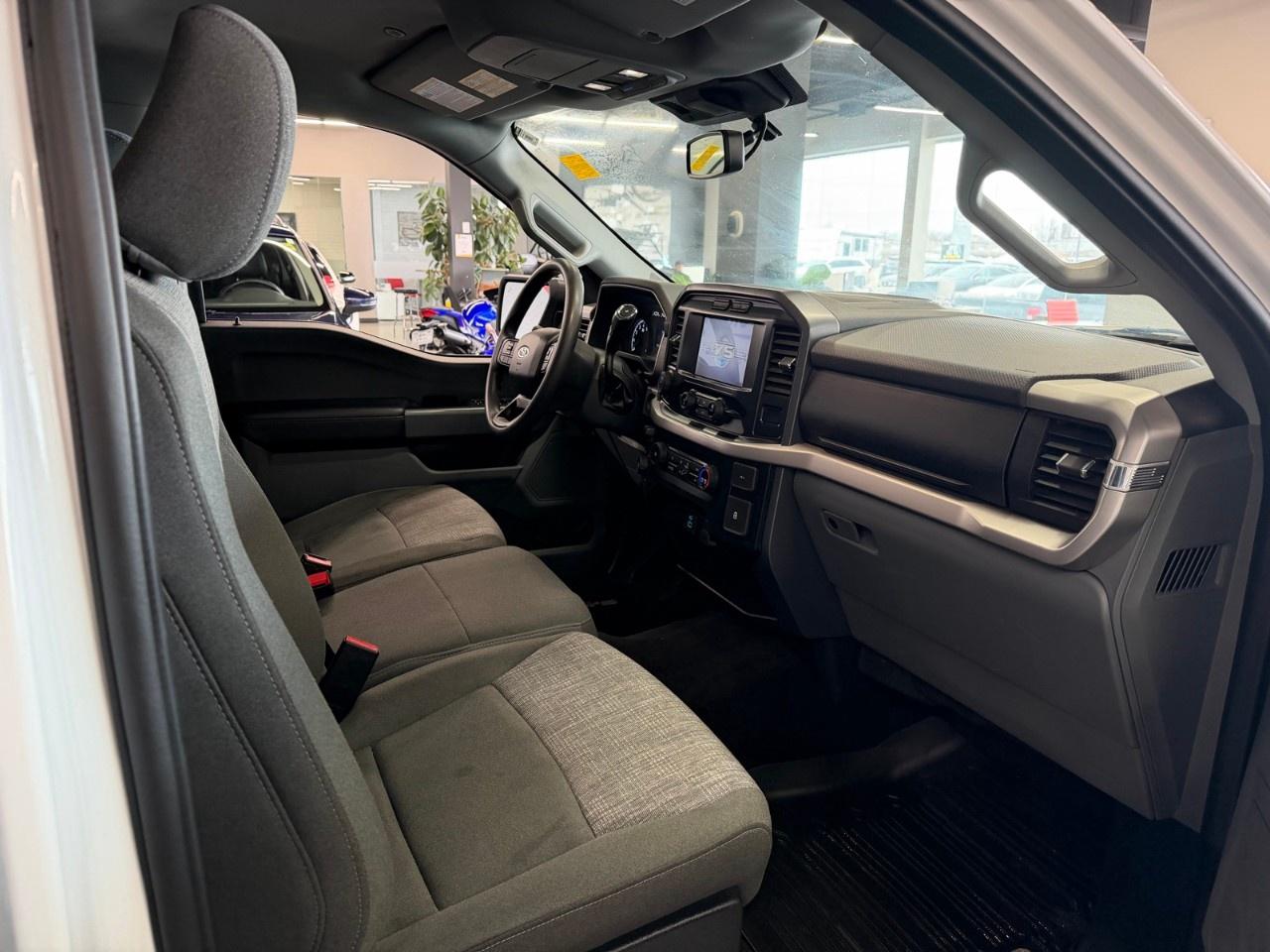 2023 Ford F-150 XLT Photo