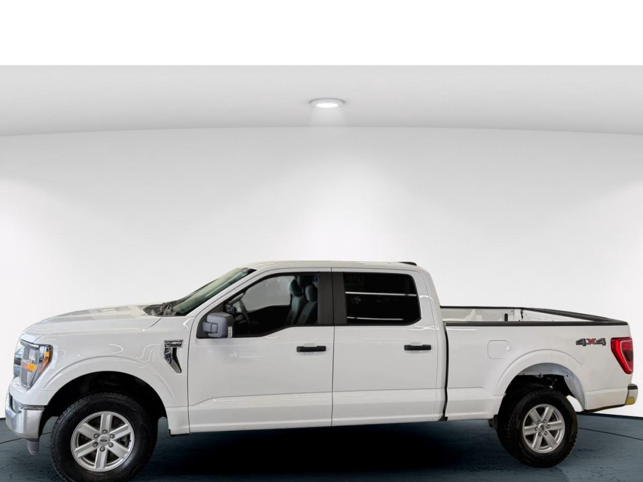 2023 Ford F-150 XLT Photo