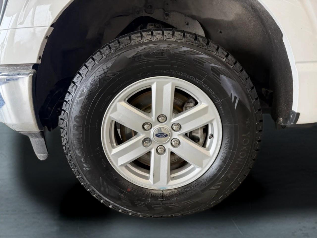 2023 Ford F-150 XLT Photo