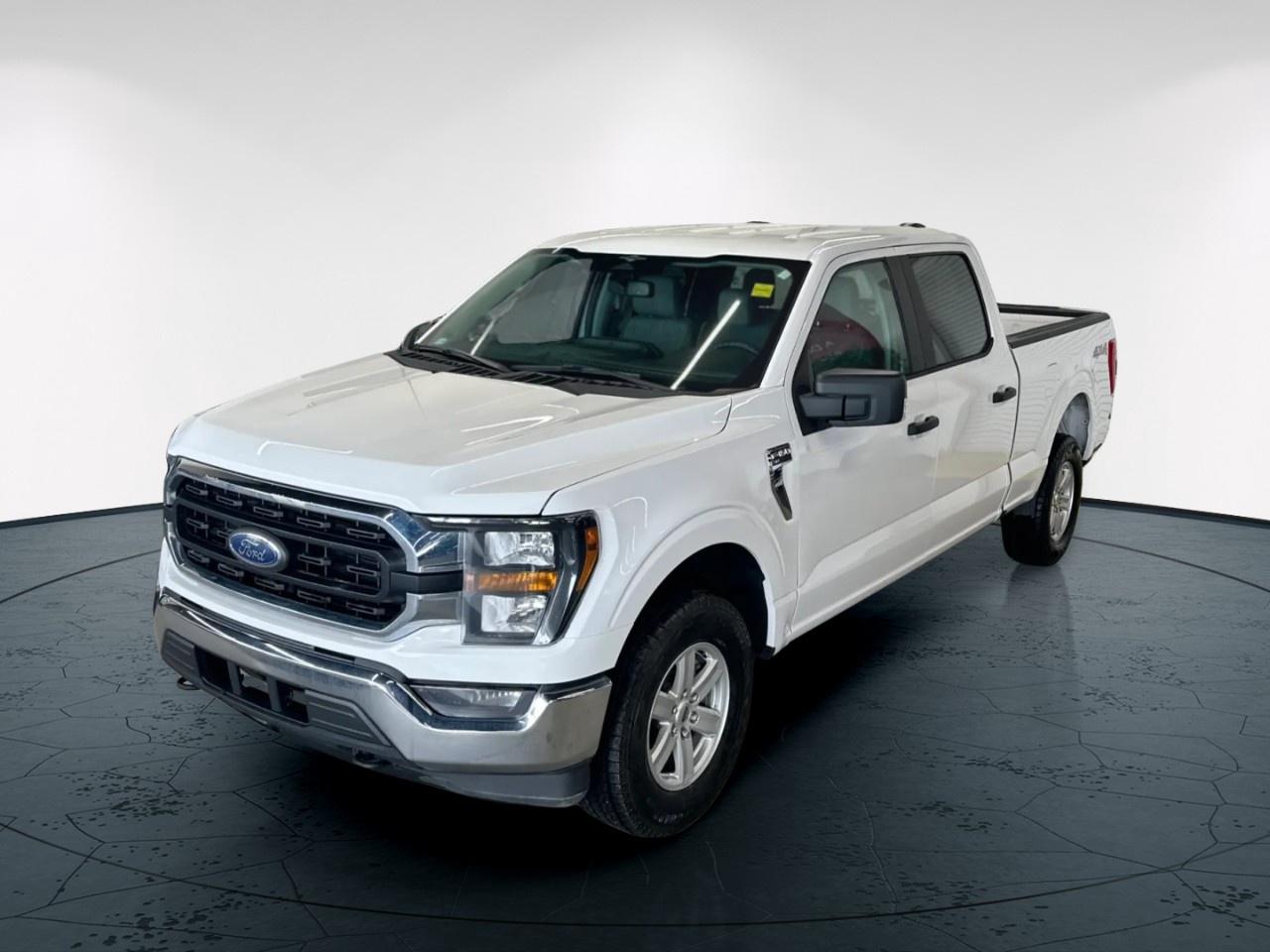 2023 Ford F-150 XLT Photo