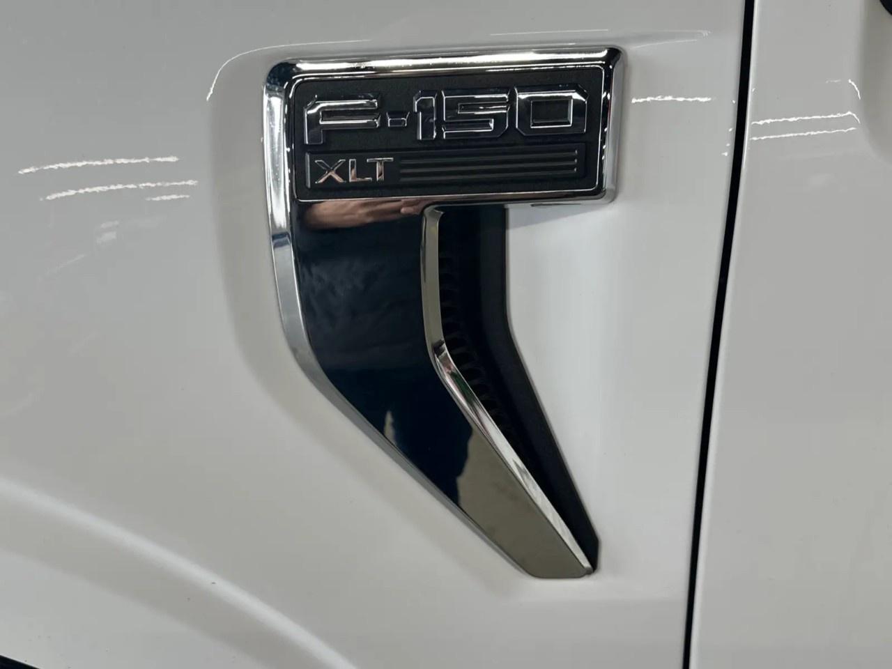 2023 Ford F-150 XLT Photo