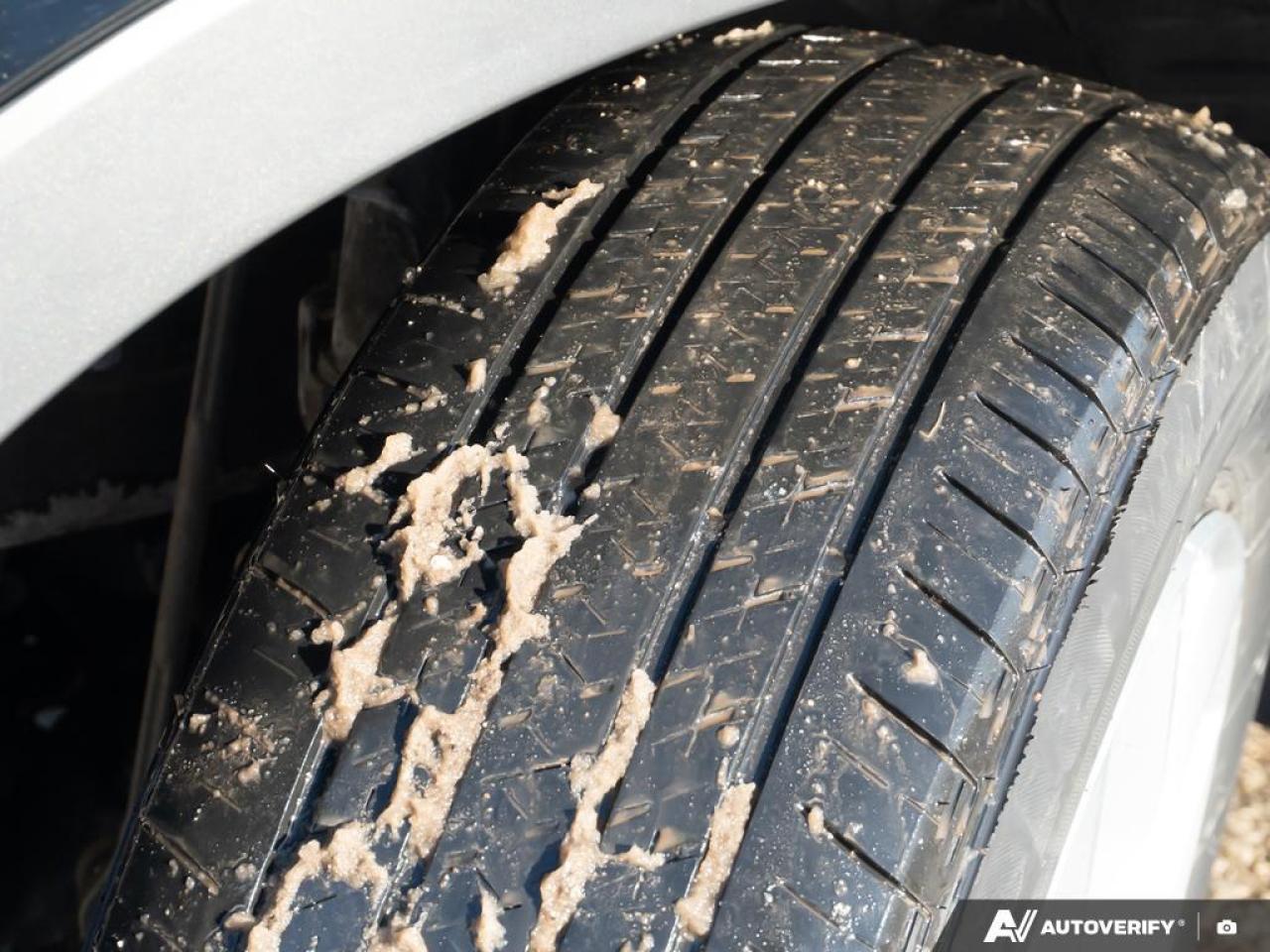 2024 Honda CR-V  Photo