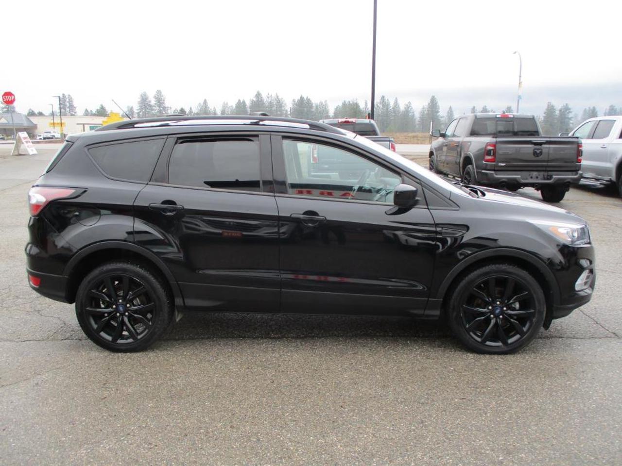 2018 Ford Escape SE FWD Photo3