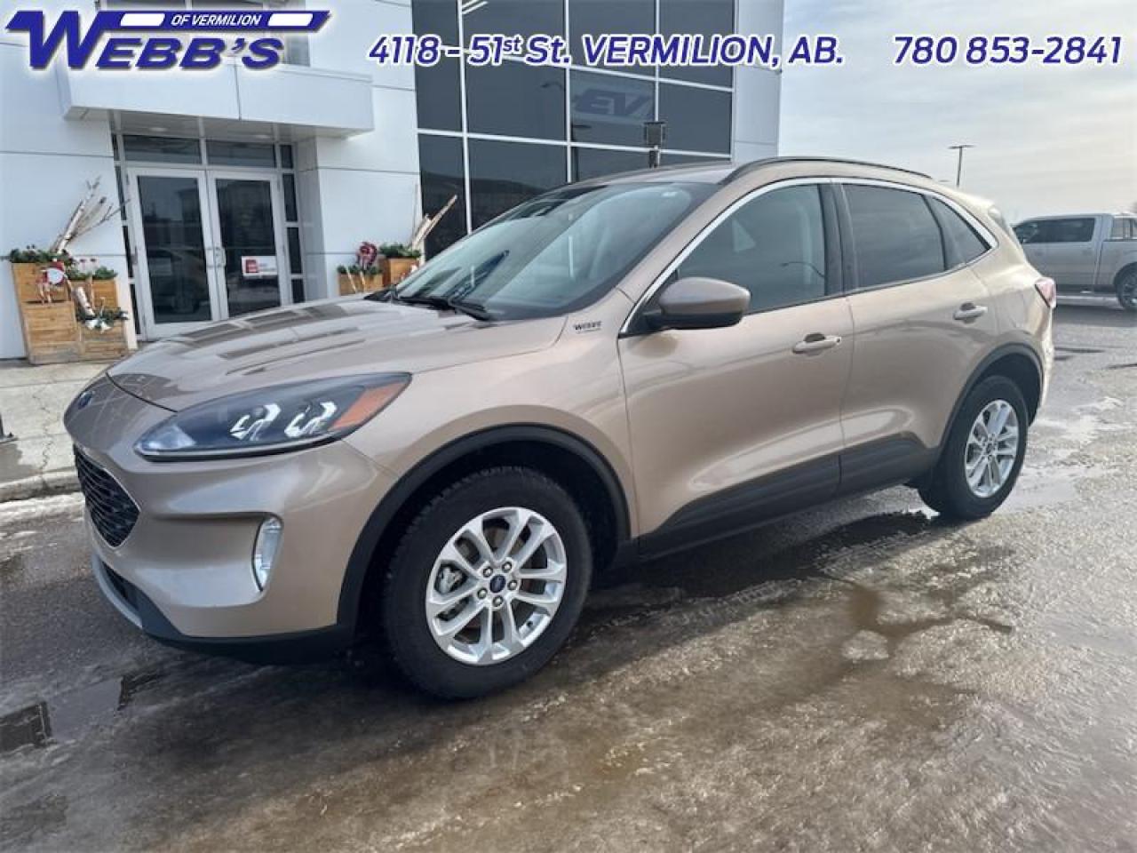 2021 Ford Escape SEL AWD Photo2