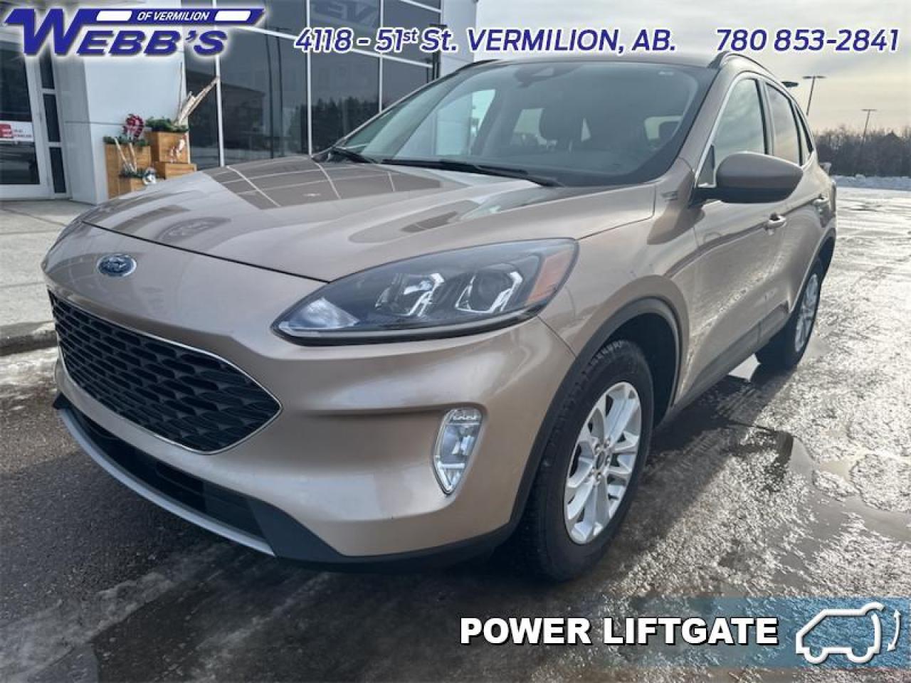 2021 Ford Escape SEL AWD Photo1