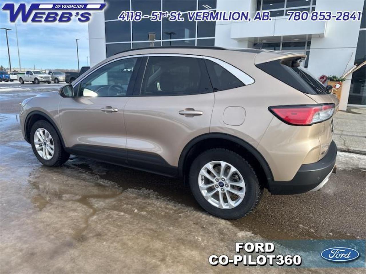 2021 Ford Escape SEL AWD Photo3