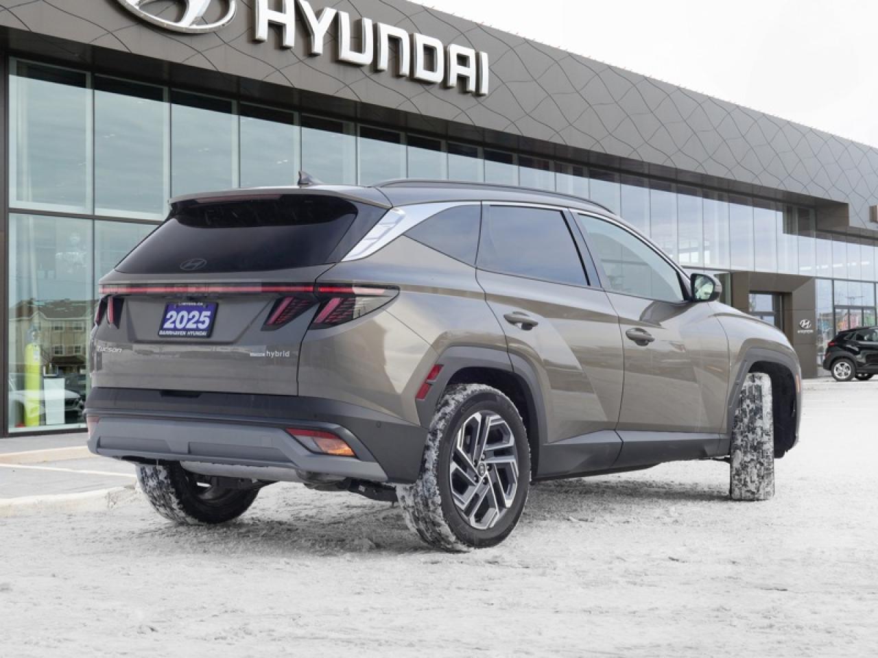 2025 Hyundai Tucson Hybrid Ultimate AWD  - Sunroof - $279 B/W Photo