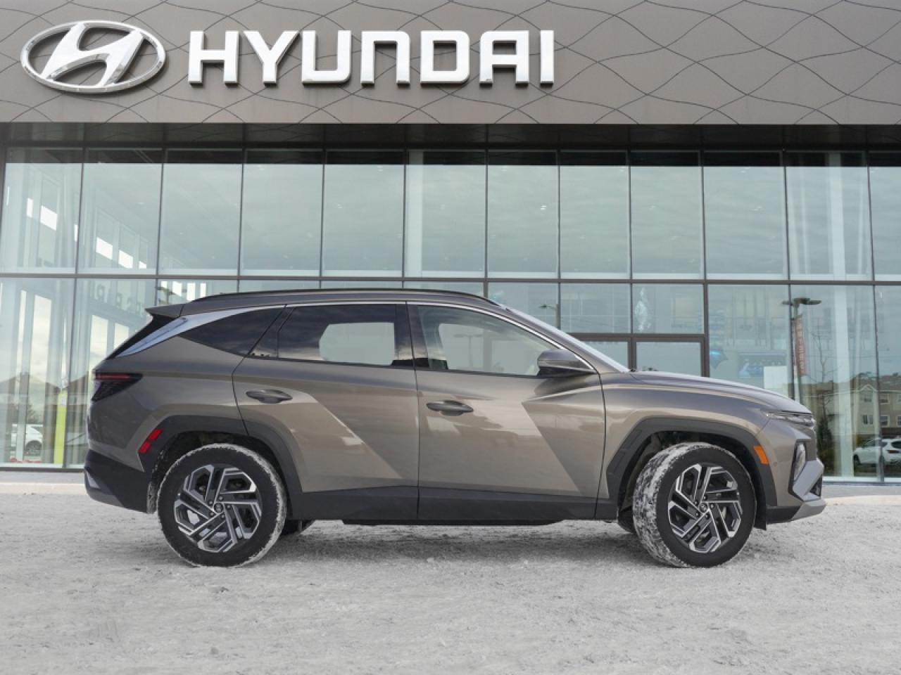 2025 Hyundai Tucson Hybrid Ultimate AWD  - Sunroof - $279 B/W Photo