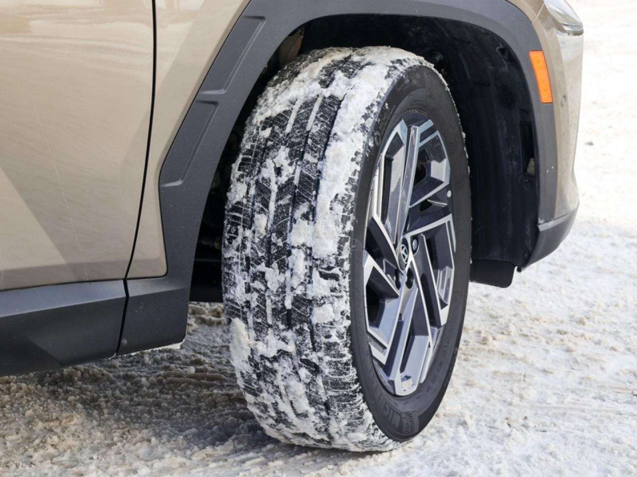 2025 Hyundai Tucson Hybrid Ultimate AWD  - Sunroof - $279 B/W Photo