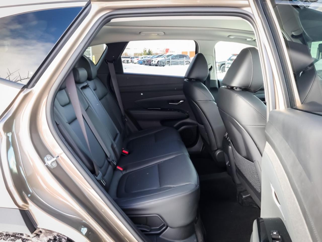 2025 Hyundai Tucson Hybrid Ultimate AWD  - Sunroof - $279 B/W Photo